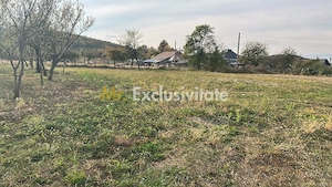 Teren intravilan – 1.135 mp, sat Crampotani, com. Merisani
