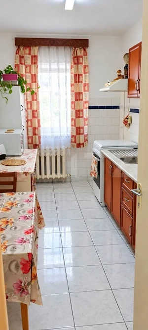 Apartament 3 camere 66 mp, Beci + parcare concesionata - imagine 8
