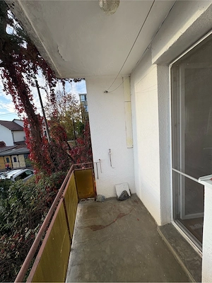 Apartament 2 camere in Aleea Savinesti - imagine 5