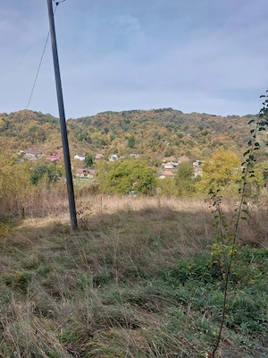 Casă P+1 de vânzare, cu teren generos de 5.062 mp   direct proprietar! - imagine 5