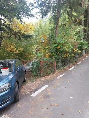 Casă P+1 de vânzare, cu teren generos de 5.062 mp   direct proprietar! - imagine 10