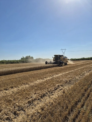 Combina New Holland TC56 - imagine 3