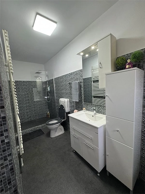 CASA INDIVIDUALA - URSENI - 5 CAMERE - imagine 15