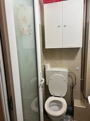 2 camere   Sagului, centrala proprie, mobilat, utilat, disponibil - imagine 9