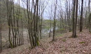Teren Lac Surduc - imagine 2