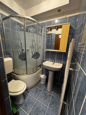 Apartament 1 camera, 24 mp utili, et. 1, balcon-Olimpia-Stadion - imagine 6