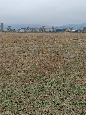 Vând teren intravilan 9 euro  mp, in Piatra Neamț in spate la Langeloti.