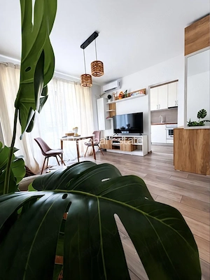 Apartament 2 camere, Curte proprie, Parcare, Mobilat, Bd. N.Grigorescu - imagine 4