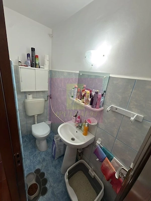 Ap 3 cam. Berceni, Oltenitei - imagine 13