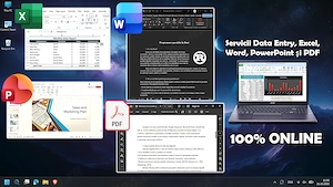 Servicii Data Entry, Excel, Word, PowerPoint și PDF - 100% online