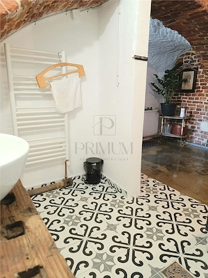 Spatiu comercial salon de infrumusetare, birouri - Traian - imagine 8