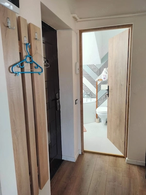 Apartament 1 camera  - imagine 4