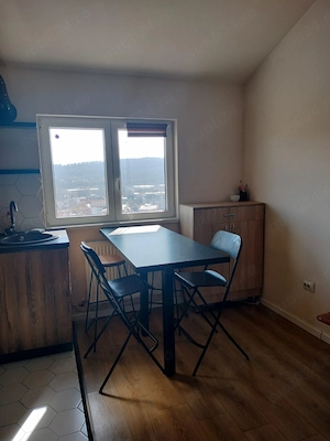 Apartament 1 camera  - imagine 2