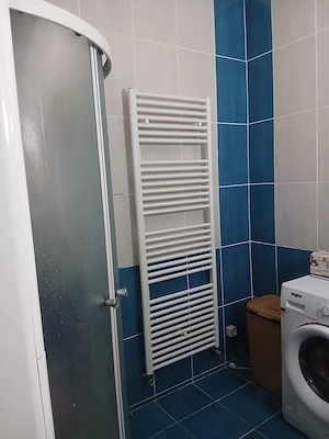 Casa Trivale Str. Campului, garaj, 232 mp construiti, 530 mp teren  - imagine 7