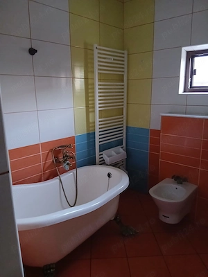 Casa Trivale Str. Campului, garaj, 232 mp construiti, 530 mp teren  - imagine 6
