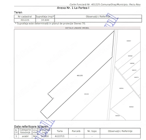 Vand 6.46 ha teren arabil Peciu Nou - imagine 2