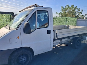 Pejo boxer camionetă
