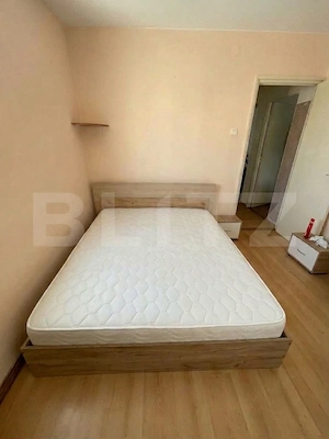 Apartament cu 2 camere, 43 mp, pet-friendly, zona Grigorescu - imagine 2