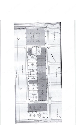 Calea Buziasului- langa "canalul betonat"
