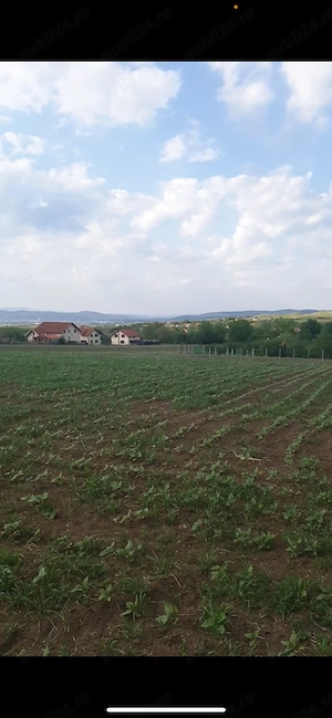 Teren intravilan 4.000 mp de vânzare   Oarda de Sus, Alba Iulia, utilități la stradă - imagine 4