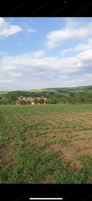 Teren intravilan 4.000 mp de vânzare   Oarda de Sus, Alba Iulia, utilități la stradă - imagine 5