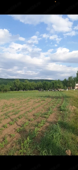 Teren intravilan 4.000 mp de vânzare   Oarda de Sus, Alba Iulia, utilități la stradă - imagine 6