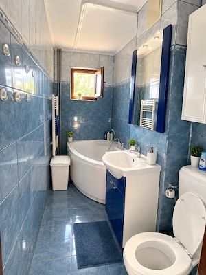Apartament cu 2 camere de închiriat – Zona Banatului - imagine 5