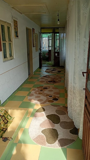 Vând casă locuibilă + anexe și teren generos 5.000 mp (com. Grojdibodu, jud. Olt) - imagine 4