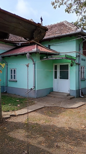 Vând casă locuibilă + anexe și teren generos 5.000 mp (com. Grojdibodu, jud. Olt) - imagine 5