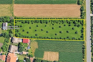 Teren constructii vila sau casa de vacanta la Tipar, jud. Arad. - imagine 4