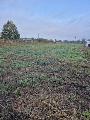 DOAR PÂNA LA SFÂRSIT DE OCTOMBRIE: 55000 euro, pentru 2500mp  pământ INTRAVILAN, in Slobozia. - imagine 8