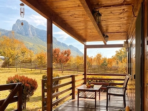Cabana de vânzare, 128 mp, zona Centrală - Rimetea - imagine 3