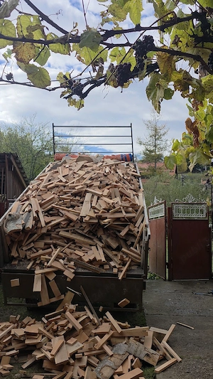 Lemn de foc, fag uscat