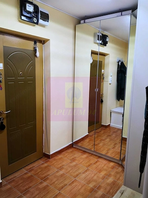 Vanzare apartament 2 camere Tineretului - imagine 8