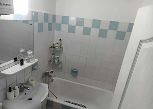 Apartament 2 camere 37mp Zona Berceni sector 4 Nițu Vasile - imagine 7