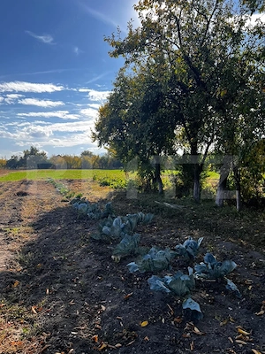 Casă de vânzare, 148.90 mp, zona Nord-Est - Prejmer - imagine 7