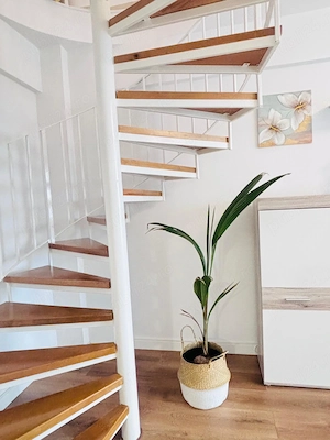 Apartament cu 2 camere de inchiriat-Aparatorii Patriei-centrala+parcare+pet friendly - imagine 2