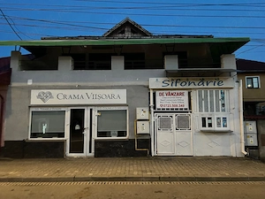 Vand casa in Targu Jiu cu 3 spatii comerciale,casa de locuitcu 4 camere ,beci tip crama,baie,bucatar - imagine 2