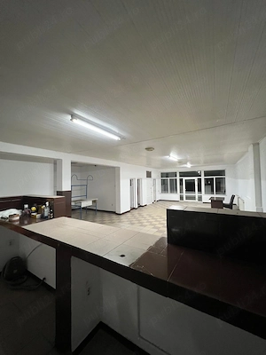 Vand casa in Targu Jiu cu 3 spatii comerciale,casa de locuitcu 4 camere ,beci tip crama,baie,bucatar - imagine 6
