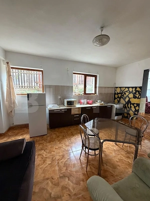 Apartament la casa, 2 camere, 62 mp, Dambul Rotund - imagine 13