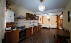 Propietar Casa Moderna P+1 - Teren 500 mp - Iesire Barlad spre Bacau  - imagine 5