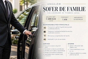 Angajam Sofer personal sofer de familie 