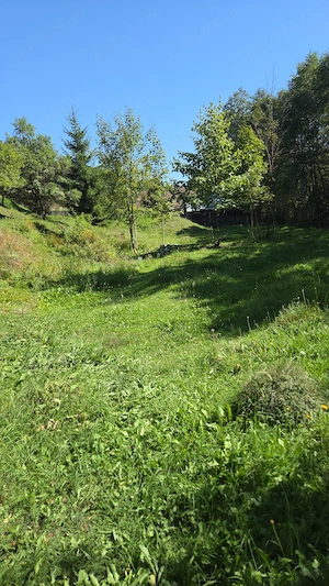 OCAZIE!!! Vand teren intravilan 900 mp Sadova, jud Suceava - imagine 2