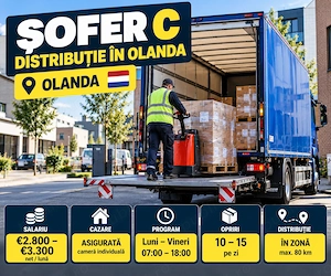Soferi C CE Olanda 3.000 4.000   NET Cazare asigurata - imagine 2