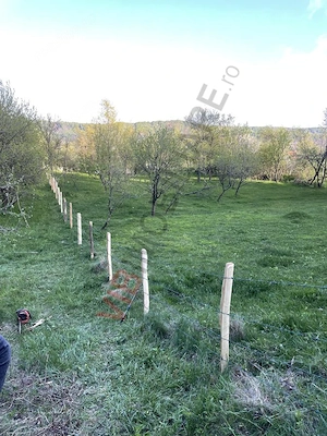 Mihaesti - Sat Draghici, teren intravilan, 7.280 mp - imagine 6