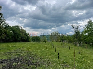 Mihaesti - Sat Draghici, teren intravilan, 7.280 mp - imagine 4
