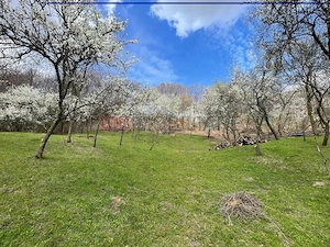 Mihaesti - Sat Draghici, teren intravilan, 7.280 mp