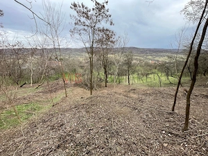Mihaesti - Sat Draghici, teren intravilan, 7.280 mp - imagine 11
