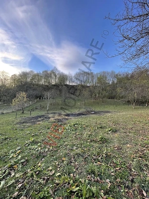 Mihaesti - Sat Draghici, teren intravilan, 7.280 mp - imagine 12