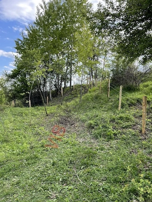 Mihaesti - Sat Draghici, teren intravilan, 7.280 mp - imagine 8